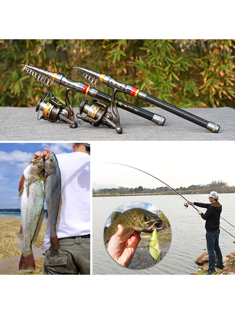 Fishing Rod Spinning Reel Comb - Freshwater Line 评论和价格