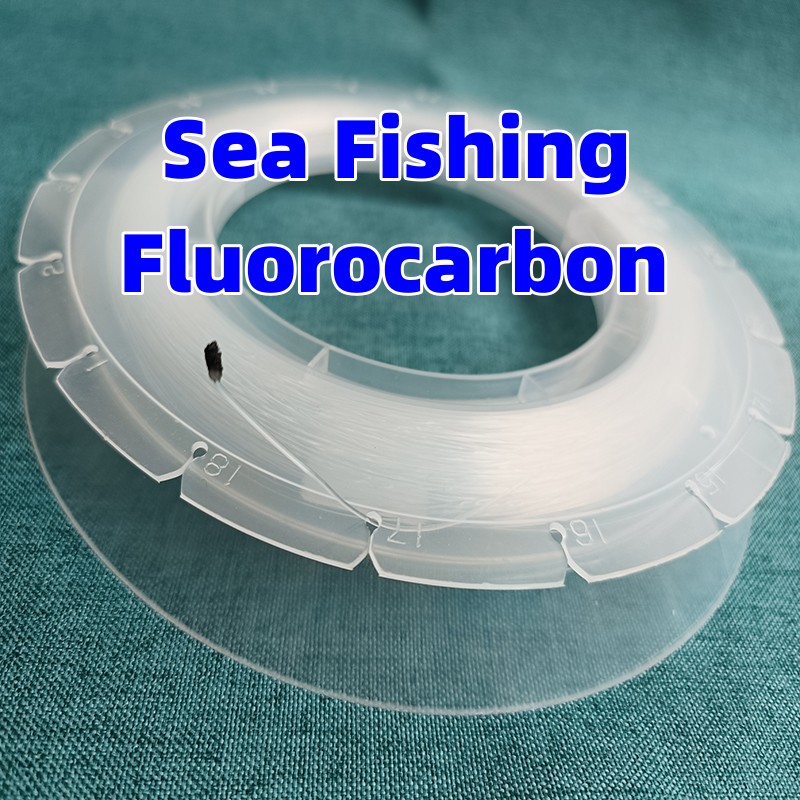 100M Fishing Fluorocarbon Big  - Copolymer Line 评论和价格